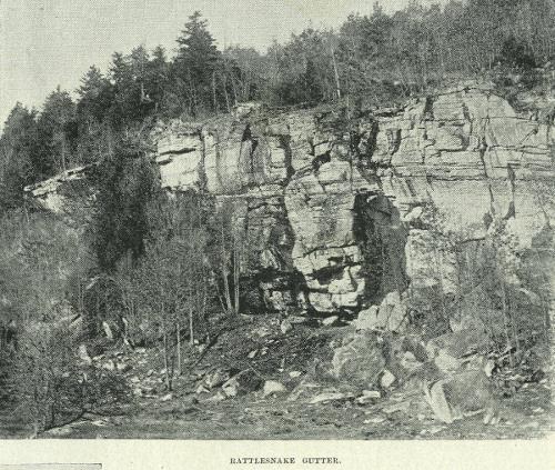 Rattlesnake Gutter Ledges